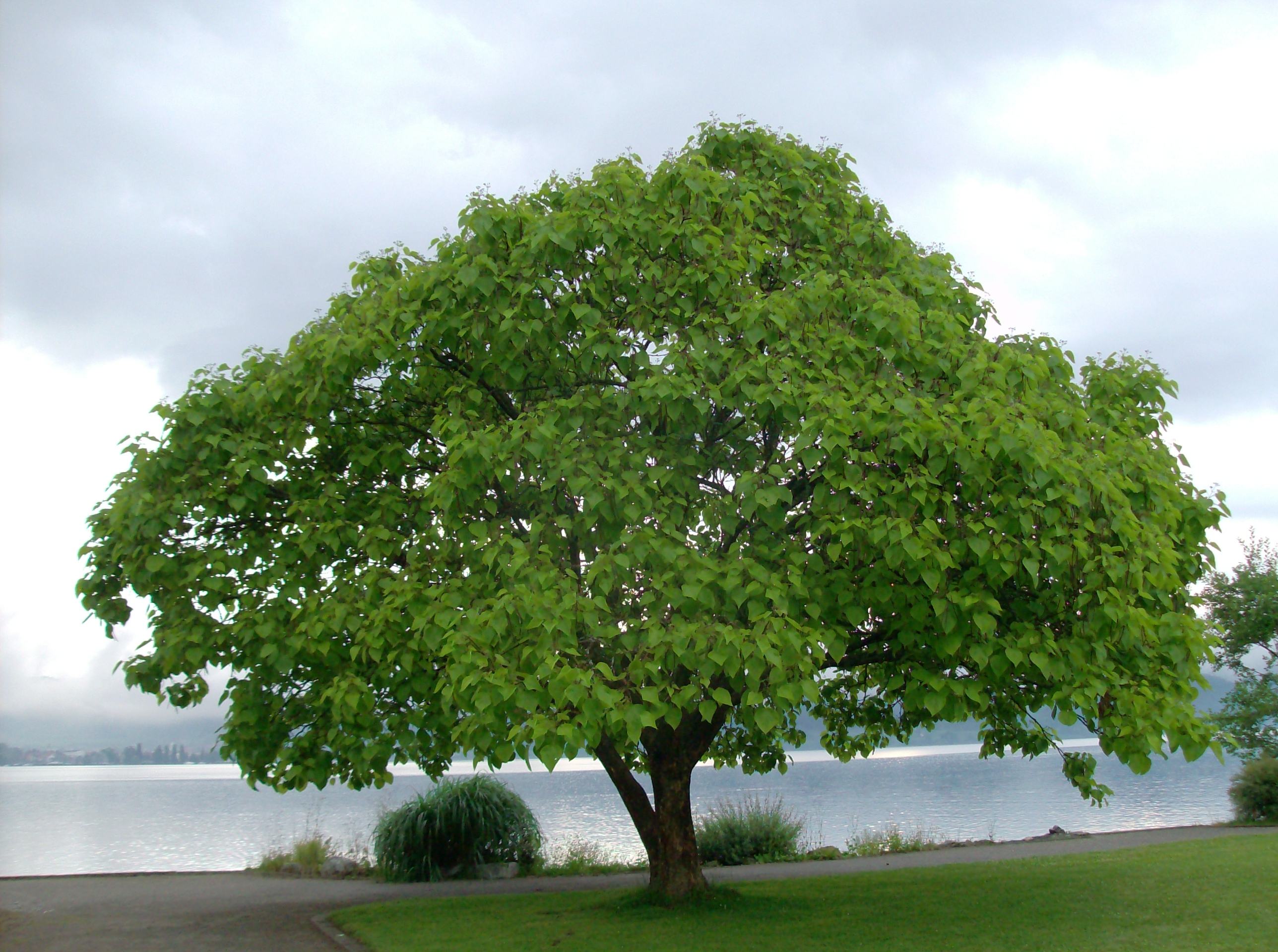 9 Dinge um kraftvoll im Alltag zu sein